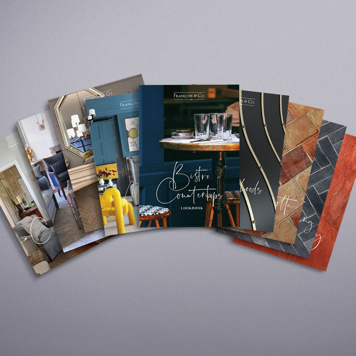 Brand Refresh / François & Co.
